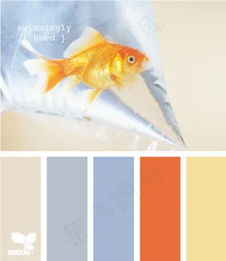 动物配色色卡色彩搭配