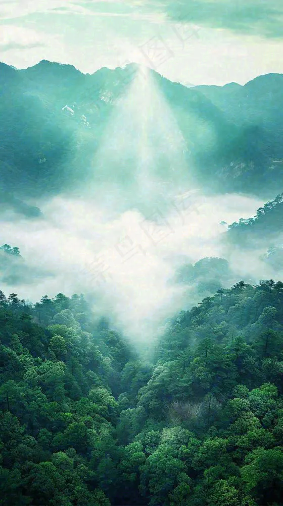 中国风高山绿植森林丛林，阳光蓝天白云，户外(816x1456)