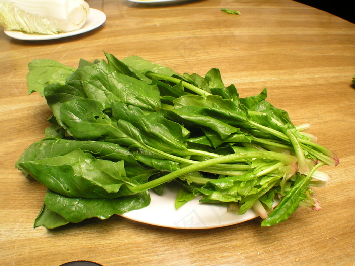     菠菜