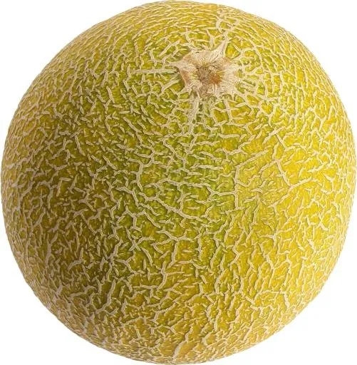 甜瓜 PNG免抠(1644x1680)