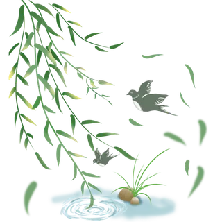 春天绿色春季水墨柳树柳条柳叶春季海报设计PNG免扣素材