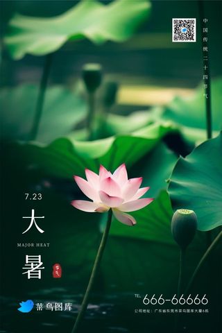 大暑绿色清爽荷花大气节气海报