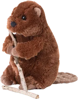 毛绒小熊素材卡通简笔