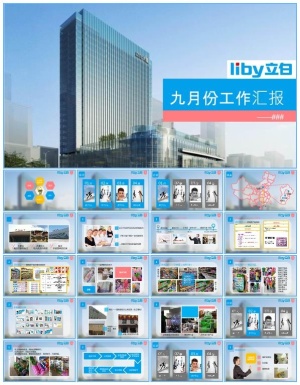 立白洗衣粉销售员工作汇报ppt模板预览图