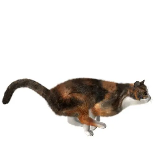 猫png图像,免费下载图片,小猫免抠(400x588)