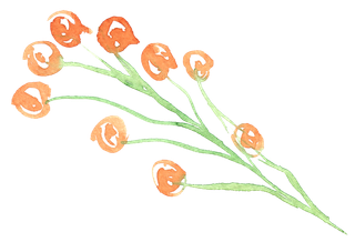 唯美森系手绘水彩花朵 免抠