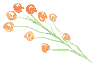 唯美森系手绘水彩花朵 免抠