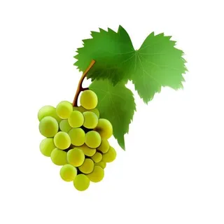 葡萄水果免抠 葡萄水果免抠