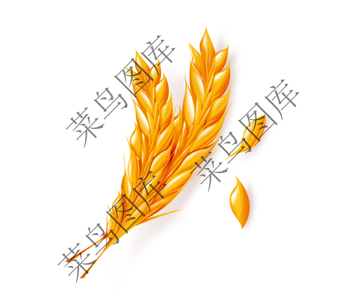 麦穗高清图psd模版下载