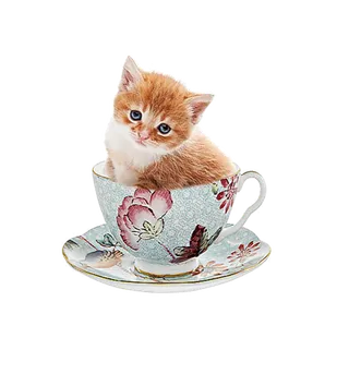 杯子小猫瓷器