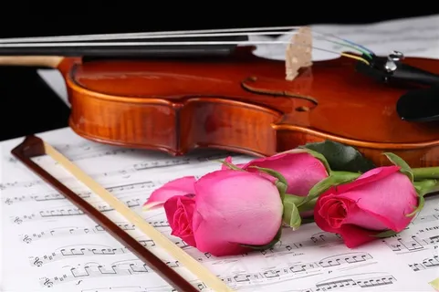 玫瑰花小提琴素材