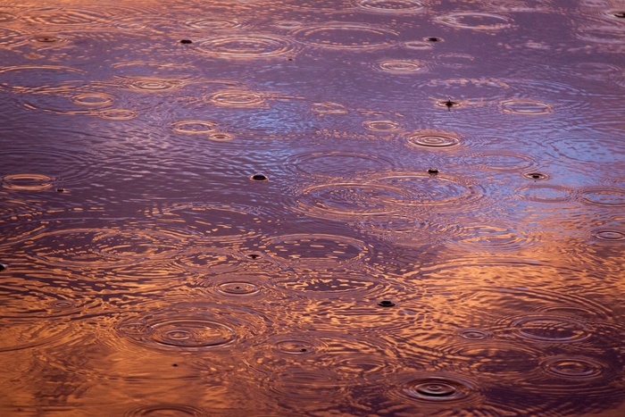 雨滴, 雨, 水, 湿的, 天气, 下雨