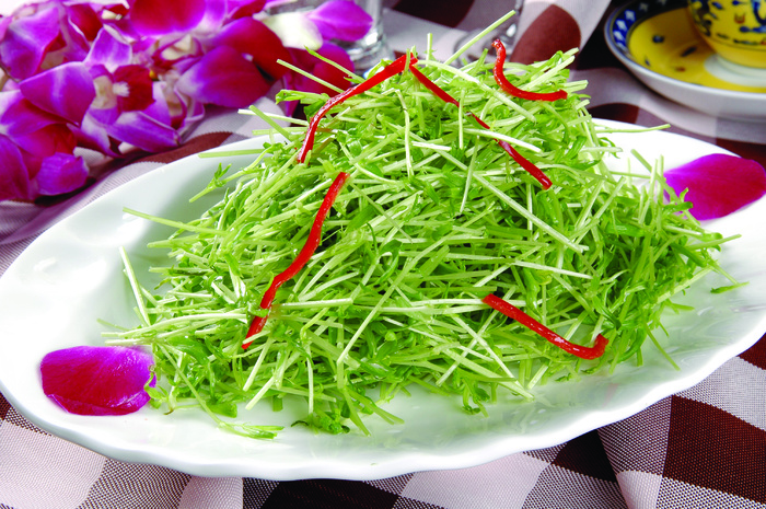 0911LCS-1016香菊松柳芽