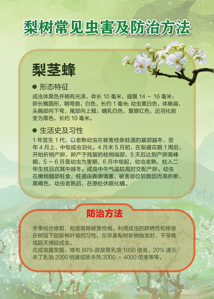 梨树常见虫害及防治方法海报psd模版下载