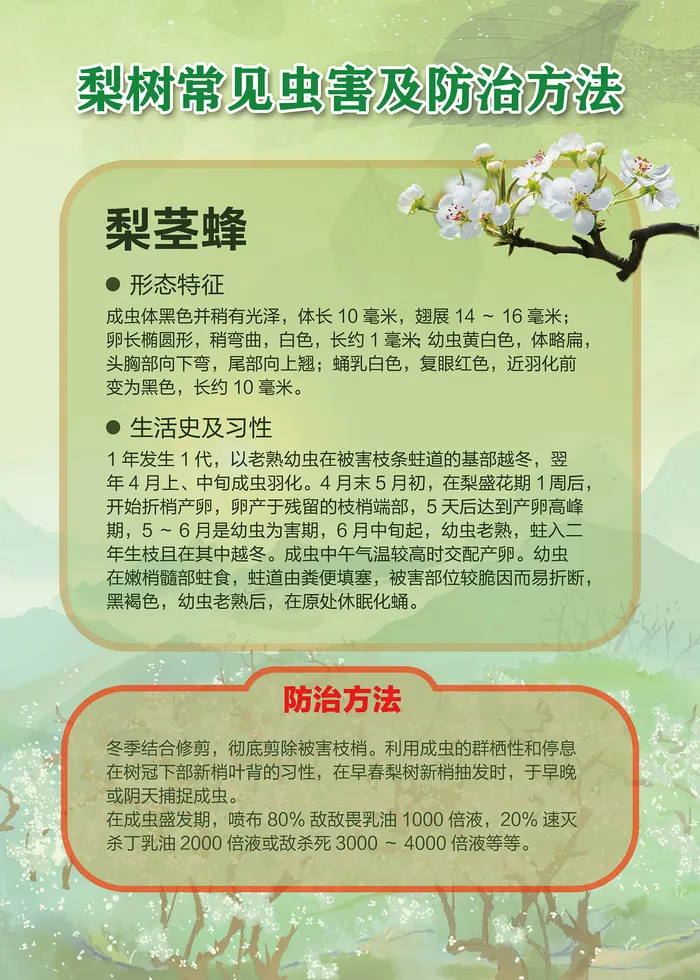 梨树常见虫害及防治方法海报psd模版下载