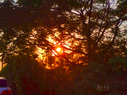八月中的夕阳图片