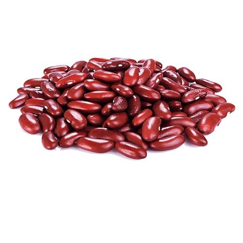 芸豆 PNG免抠(500x500)