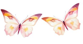 水彩粉色蝴蝶元素