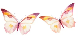 水彩粉色蝴蝶元素