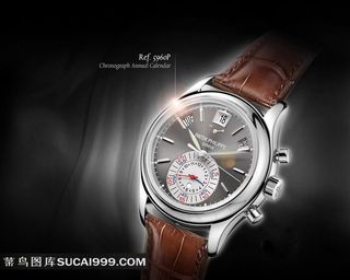 百达翡丽oasis手表广告图片