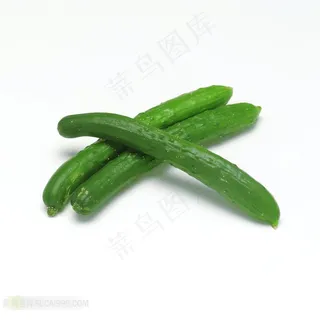 黄瓜高清摄影素材