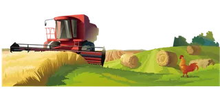 现代农业收割稻子