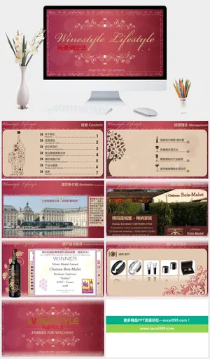 红酒葡萄酒公司介绍PPT模板预览图