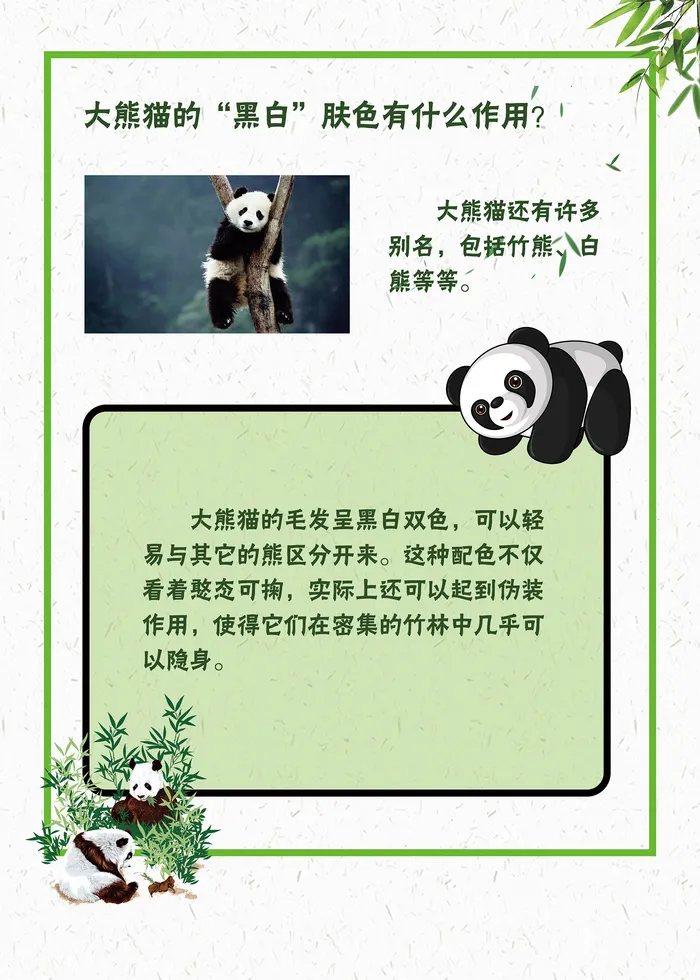 简约可爱的大熊猫知识海报