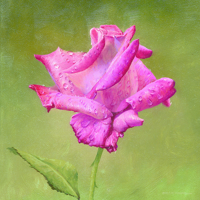 唯美粉色花束高清油画