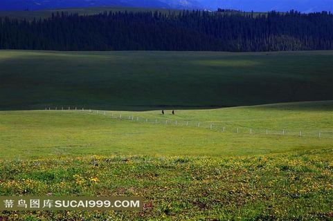 新疆喀拉峻草原风景摄影 新疆喀拉峻草原风景摄影