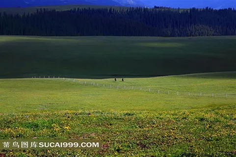 新疆喀拉峻草原风景摄影 新疆喀拉峻草原风景摄影