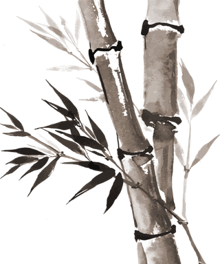 竹子水墨画中国风国画墨水书法竹子画