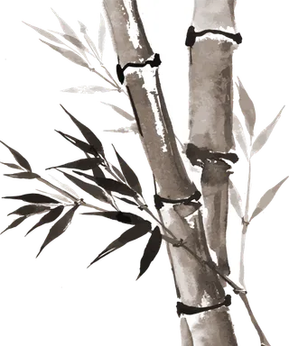 竹子水墨画中国风国画墨水书法竹子画