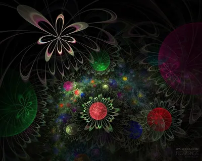 图片设计素材背景鸟语花香 图片设计素材背景鸟语花香