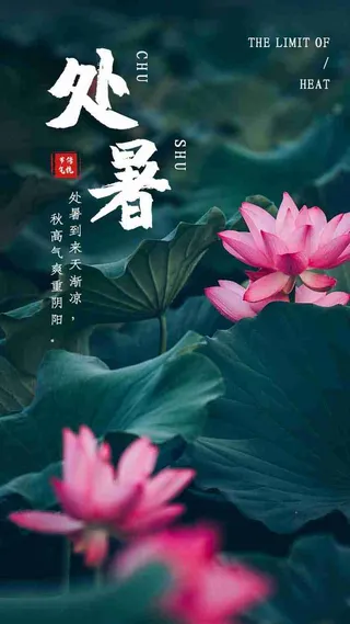 简约大气中国风荷花处暑节气启动页引导页