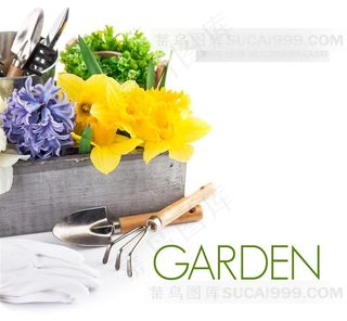花朵与园艺工具素材