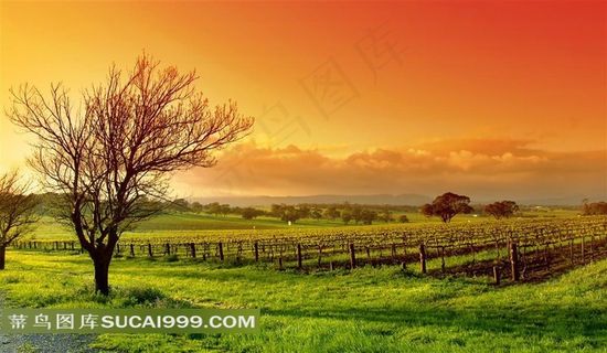 黄昏田园风光摄影