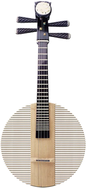 琵琶古典元素传统