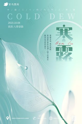 青色 露珠 树叶  小清新 寒露海报