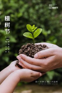 植树节3.12海报