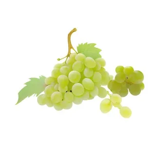 葡萄免抠