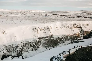 冬天白雪林木背景风景