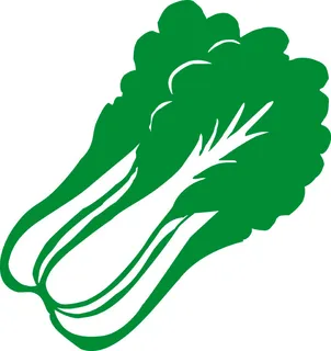 矢量白菜图