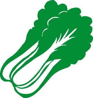 矢量白菜图