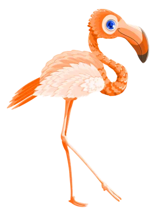 火烈鸟粉色卡通