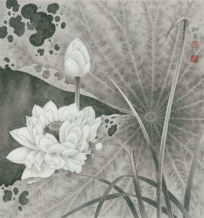 白荷清韵工笔画