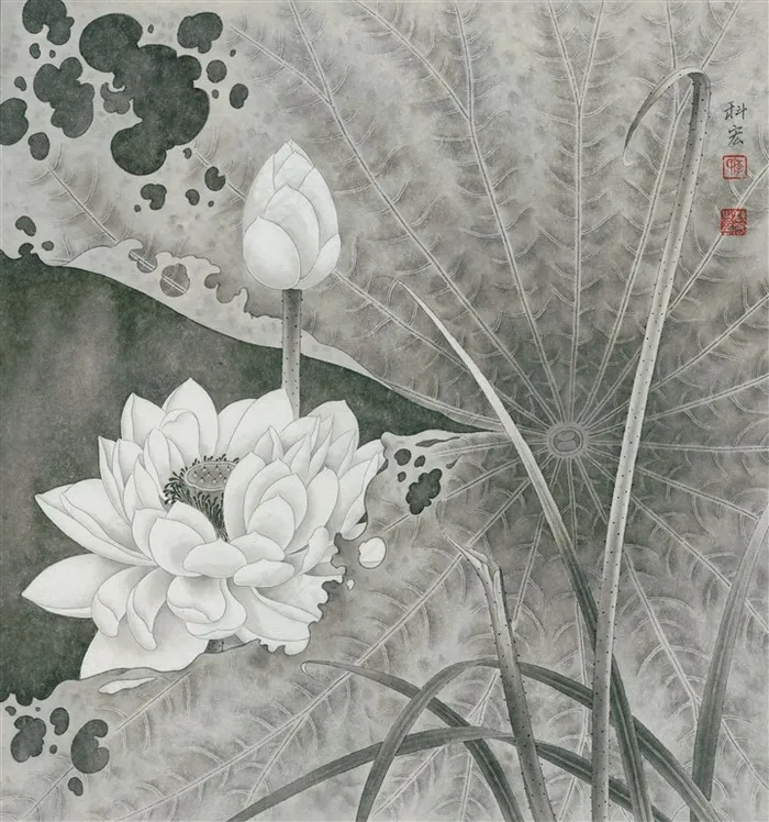 白荷清韵工笔画