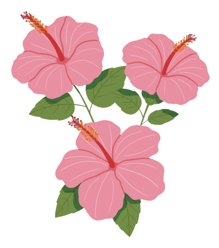 喇叭花png