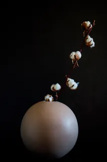 棉花干花装饰插花图片