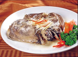 CXC04177深海鱼头